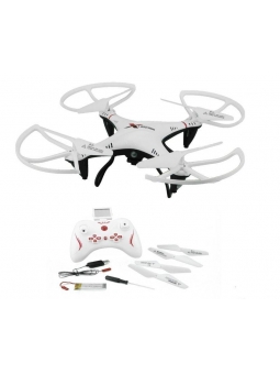 LS6039 2.4G 6 Achsen Quadcopter mit Kamera 2.0MP